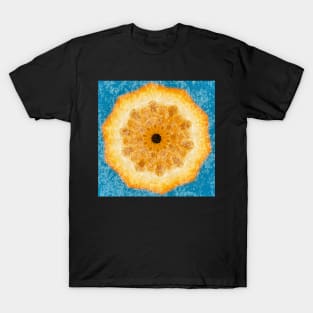 Juicy orange design for kids clothes T-Shirt